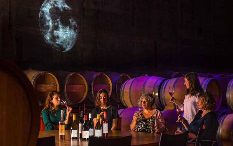 Experiencias de enoturismo en la Ruta del vino DO Empordà en la Costa Brava