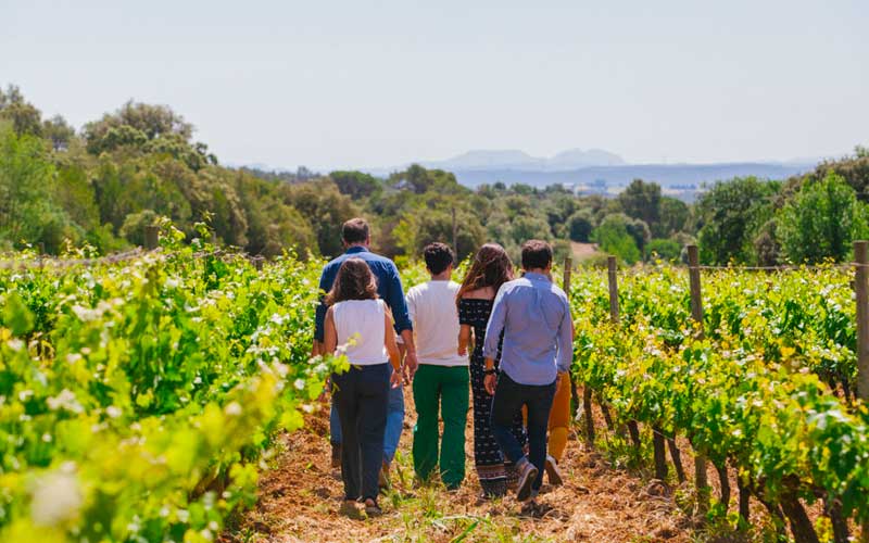 Bodegas del Baix Empordà en la Ruta del vino DO Empordà