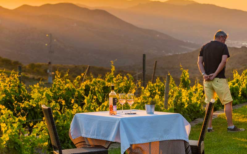 Enoturismo en la Ruta del vino DO Empordà entre viñedos y bodegas