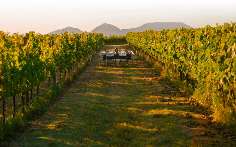 Festival Vívid, evento de enoturismo en el Empordà