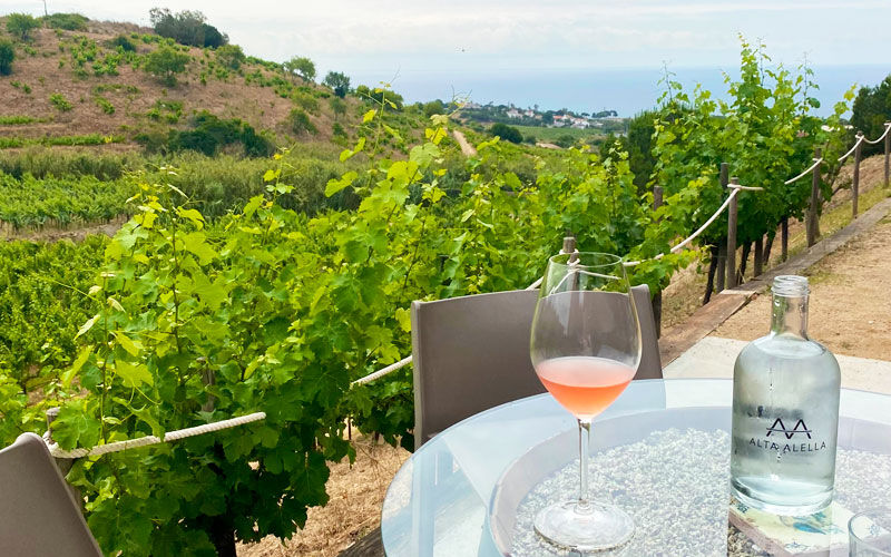 Alta Alella, cata de vino en Barcelona