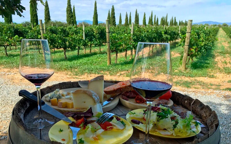 Cata de vino en Celler La Vinyeta, Alt Empordà