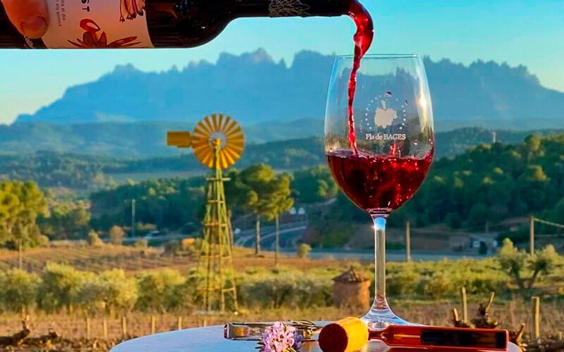 Bodega DO Pla de Bages: Collbaix – Celler el Molí