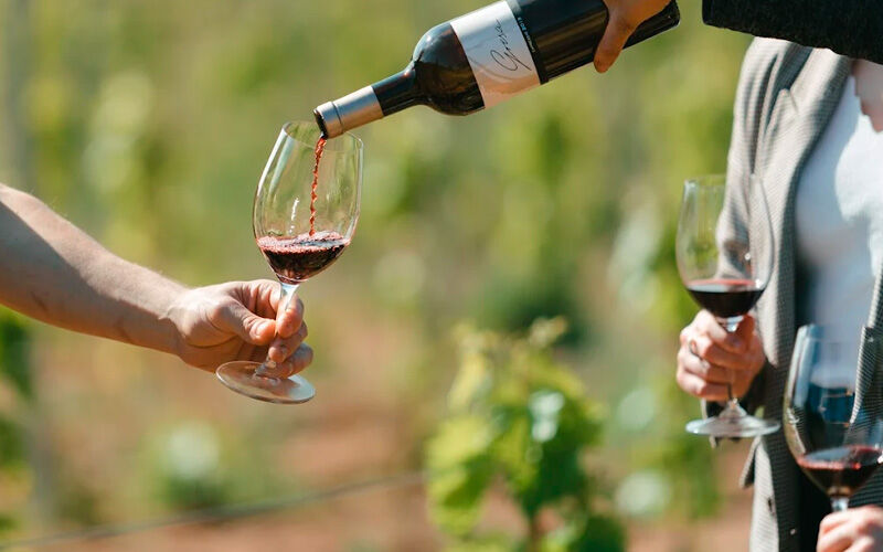 Catas de vino en Vinyes d'Olivardots, Bib Gourmand