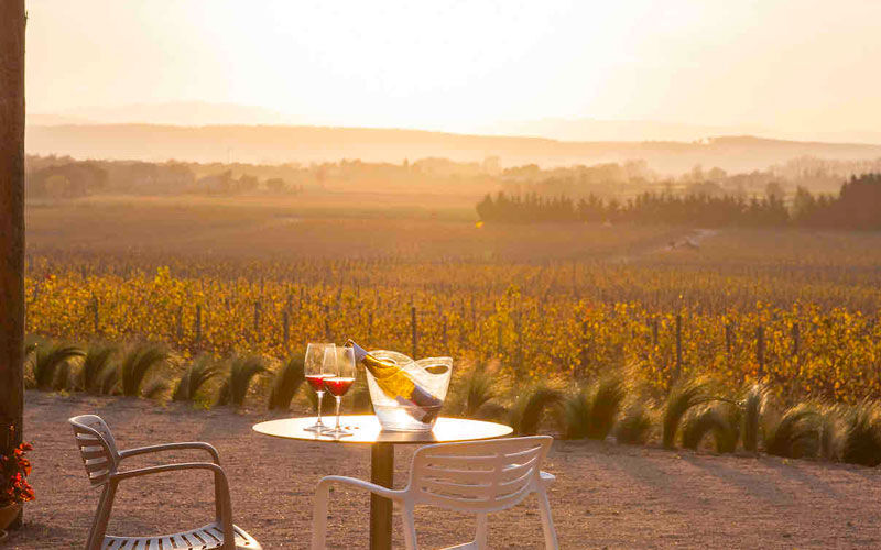 Celler Mas Geli, bodega de vino en Pals