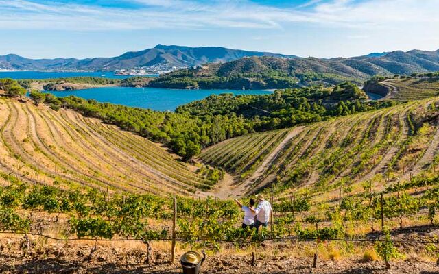 Ruta del vino DO Empordà: guía para hacer enoturismo en el Empordà