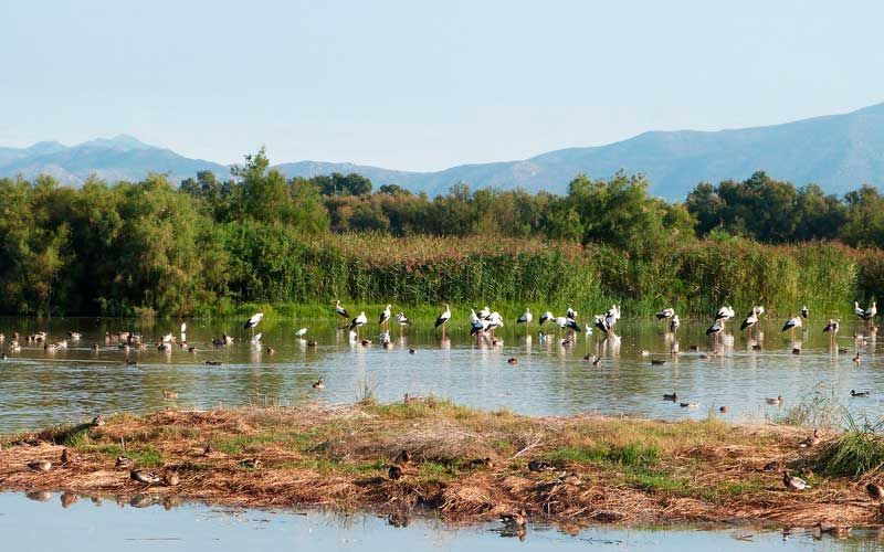 Aiguamolls de l'Empordà